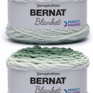 Bernat Blanket Perfect Phasing Yarn - 2 Pack, 220 Yards, Forest Green