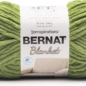 Bernat Blanket BB Fern Yarn 2 Pack - Super Bulky 300g